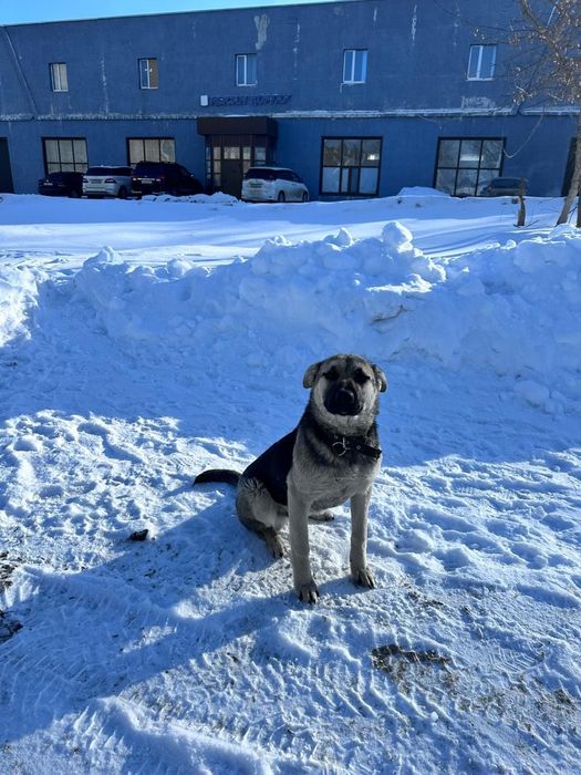 Даром мальчик 5мес