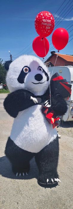 Изненада с Панда, розов, лилав и син Стич, Бяло Мече, рожден ден.