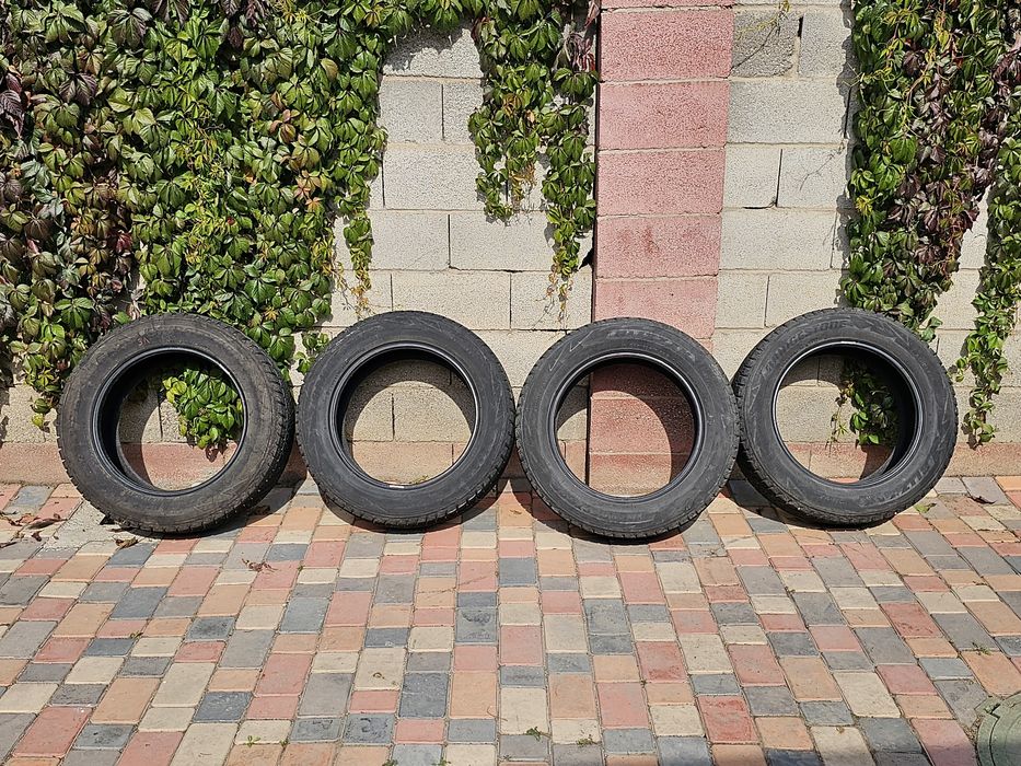 Зимняя резина Bridgestone Blizzak DM-V2