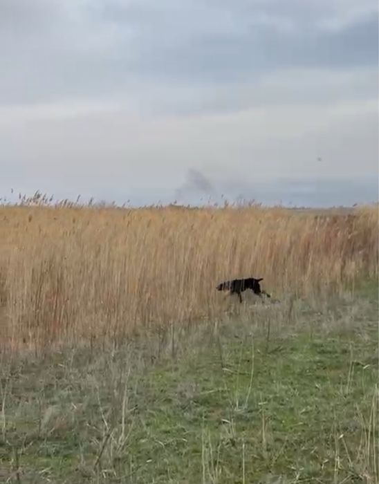 драдхаар  Рабочий