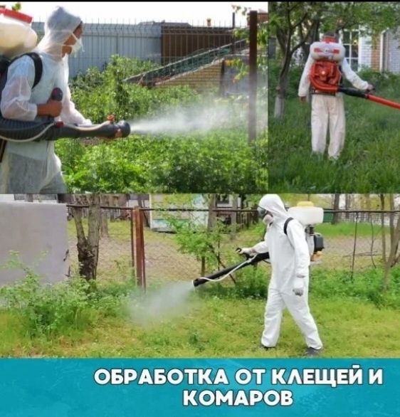 Хашоратларга карши кураш богбонлар фермерлар учун