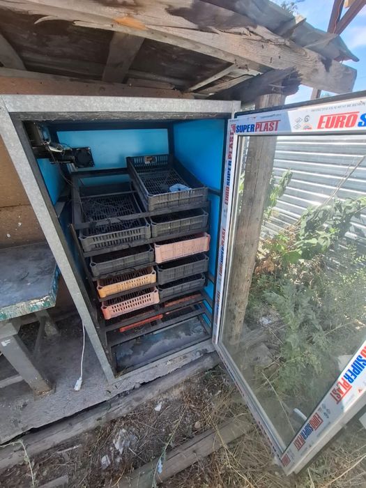 Инкубатор на 800 яиц