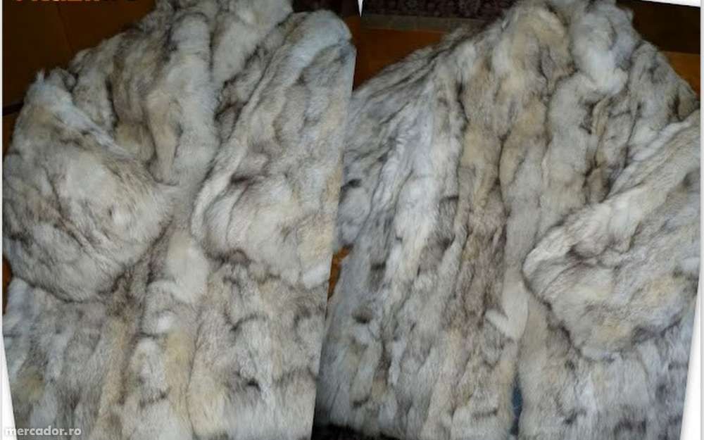 Haina de blana vulpe polara + CADOU!