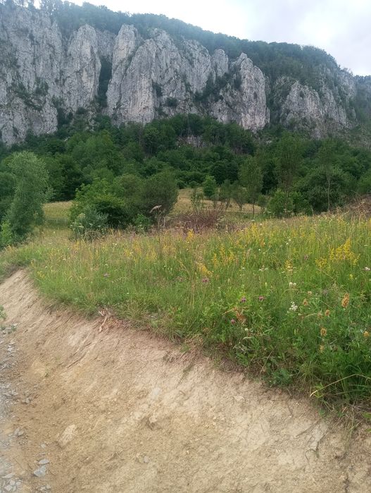 Teren Apuseni parcele