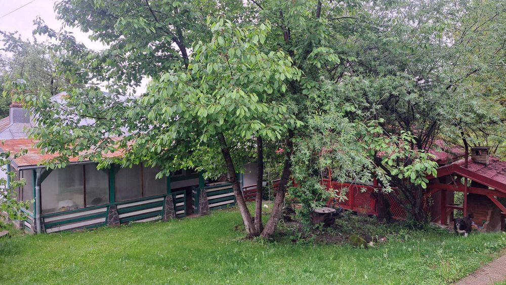 Casa moderna, cu foisor, anexe, gratar, renovata integral, 3000 mp curte livada