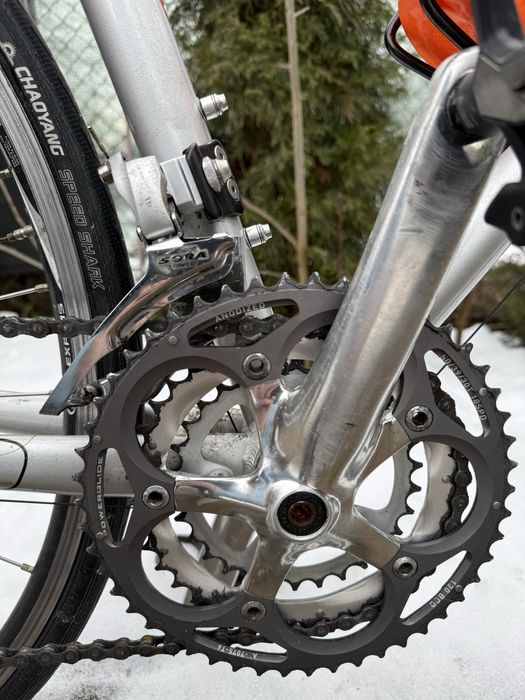 Cursiera Giant SCR3