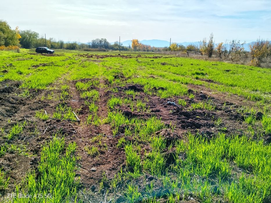 Земеделска земя трета категория в началото на с Конуш