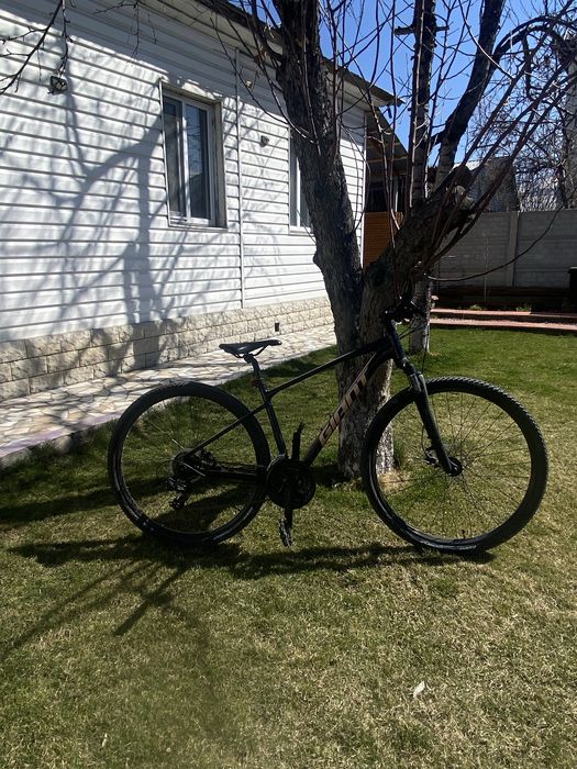 Велосипед Giant roam 4