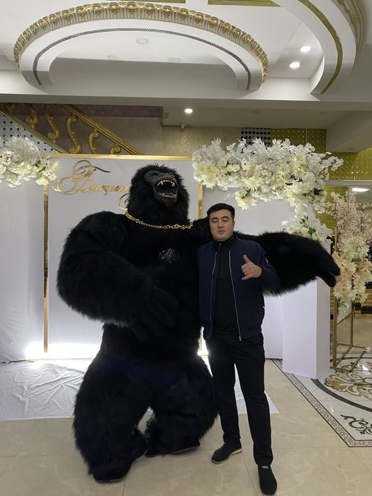 Горилла кин конг