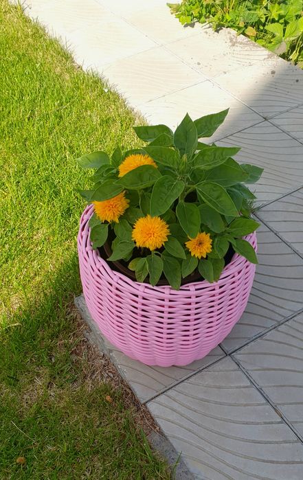 Кашпо из ротанга