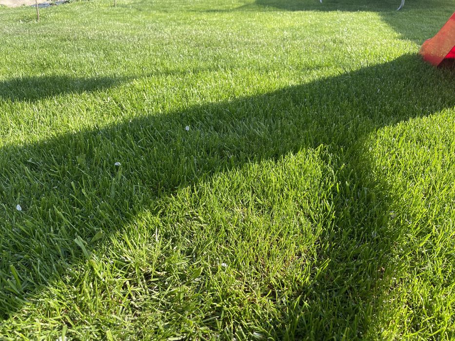 Pământ NEGRU pentru gazon, solar, grădină…..