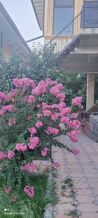 Срочно продам загородный дом (дача).