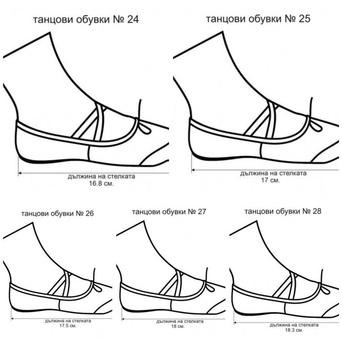 Танцови обувки (меки туфли) цвички