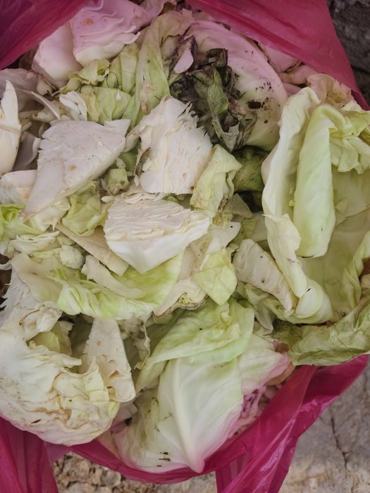 Уй хайвонлари учун озука ( кукатлардан колдик)