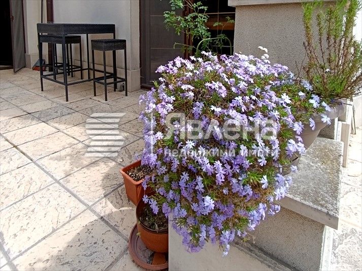 Продава се Многостаен апартамент в Варна, Бриз - 177 кв.м за 2232 €/кв.м - Снимка #5