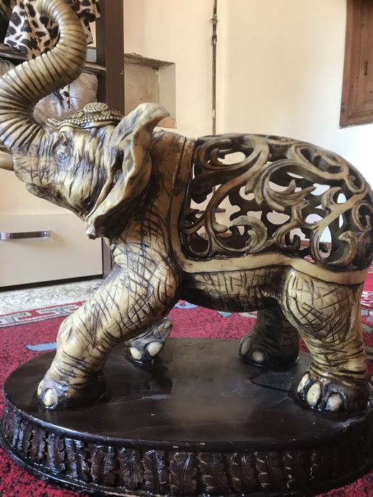 Suviner fil suyagidan yasalgan