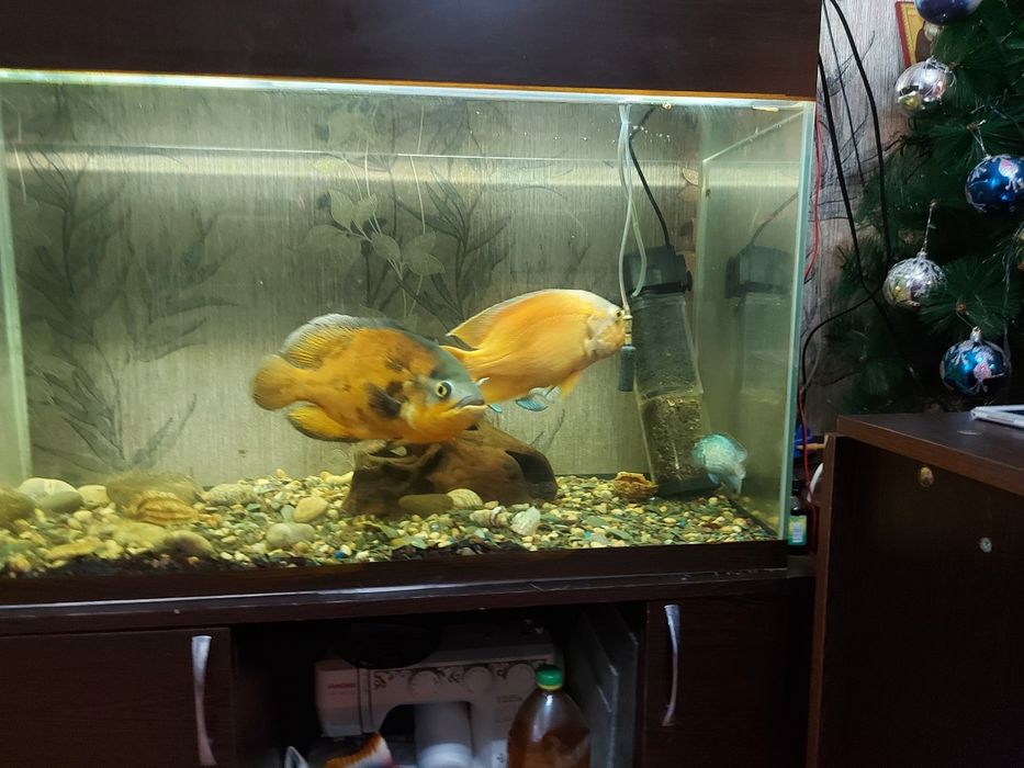 Продам аквариум  с  тумбой.