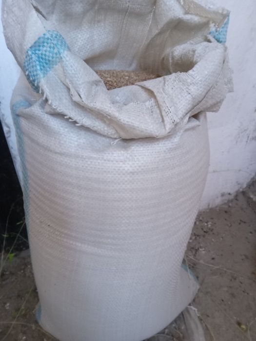 Продам Тауыккп бедай