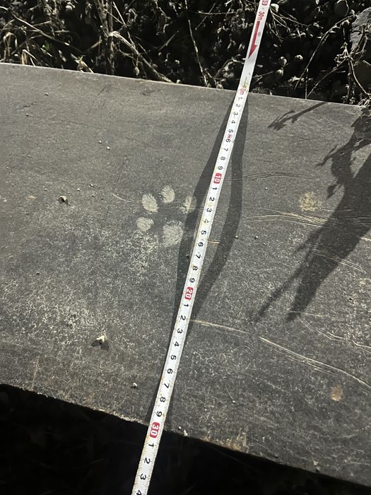 Швеллер советский П 30 см