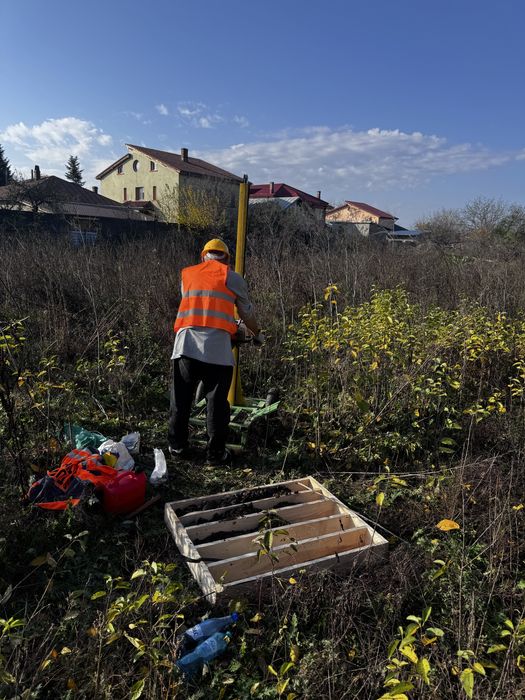 Studiu geotehnic - executie rapida