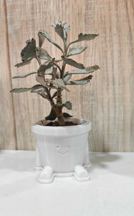 Современные и стильные вазы, горшки и кашпо для ваших растений!