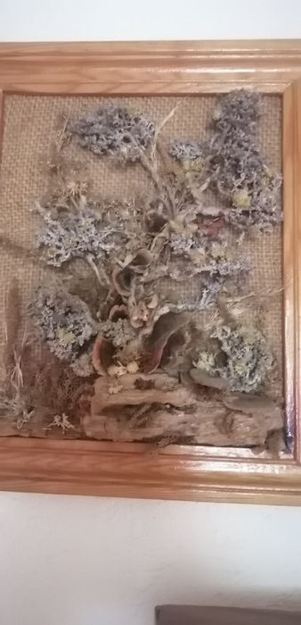 Разные картины и панно