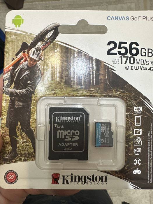 Kingstone 256 gb SD card