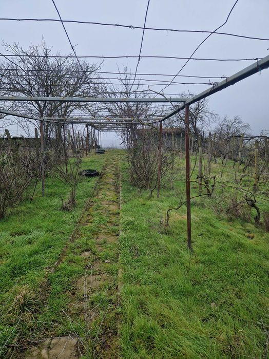 Продава се Парцел в Варна, Конфуто - 600 кв.м за 30 €/кв.м - Снимка #2