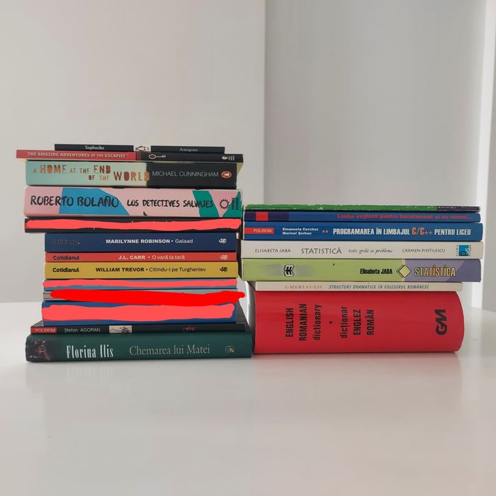 Carti romana, engleza, spaniola, economie, bacalaureat, dictionare