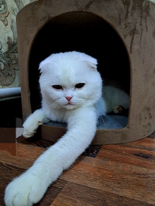 Вязка !!!Вязка!!!