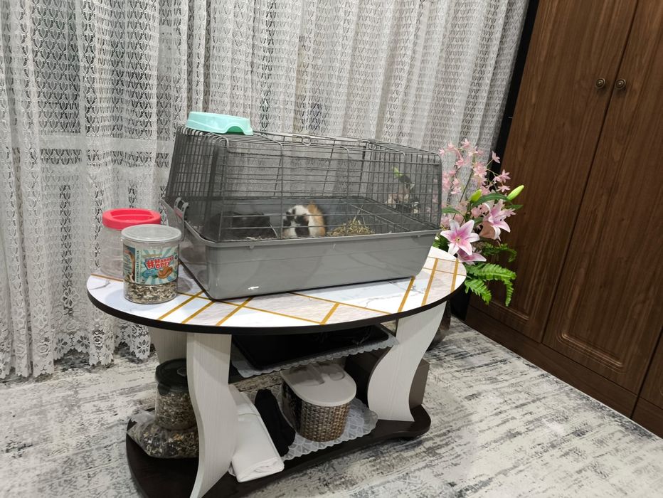 Клетка для животных