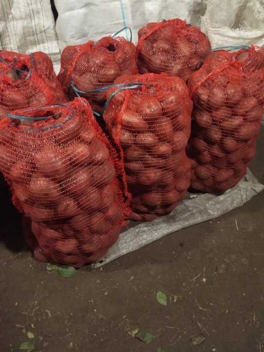 Продам картошку.