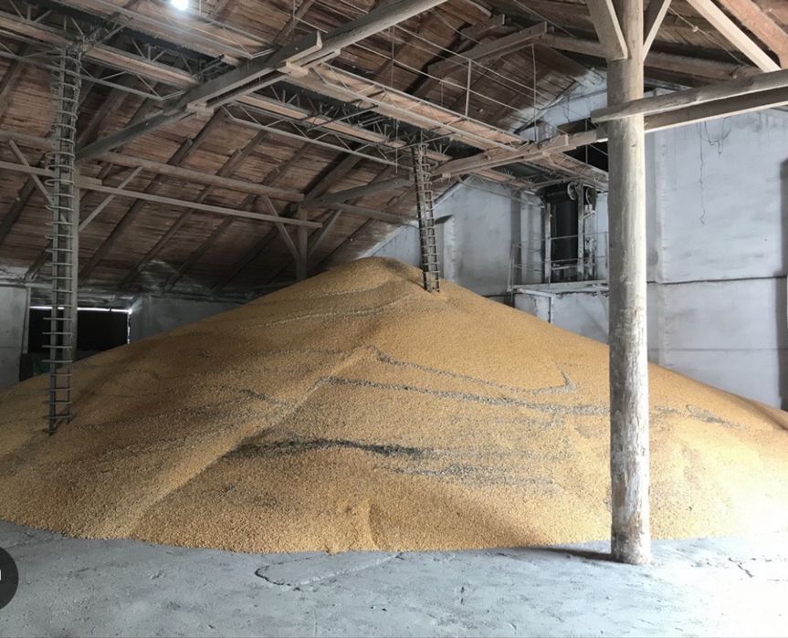 Продам ячмень на элеваторе