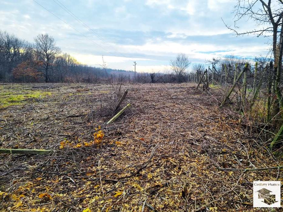 116210 Два парцела, подходящи за застрояване в с. Момин сбор