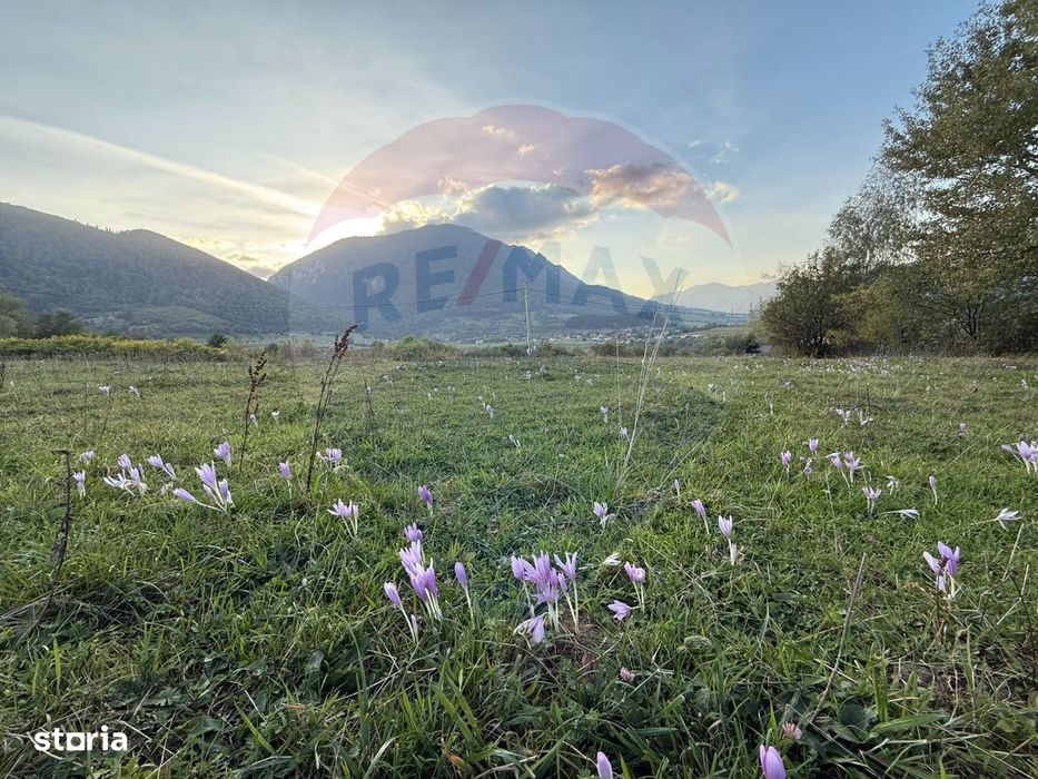 Teren 646mp intre Bran si Zarnesti (Tohanita,) intravilan