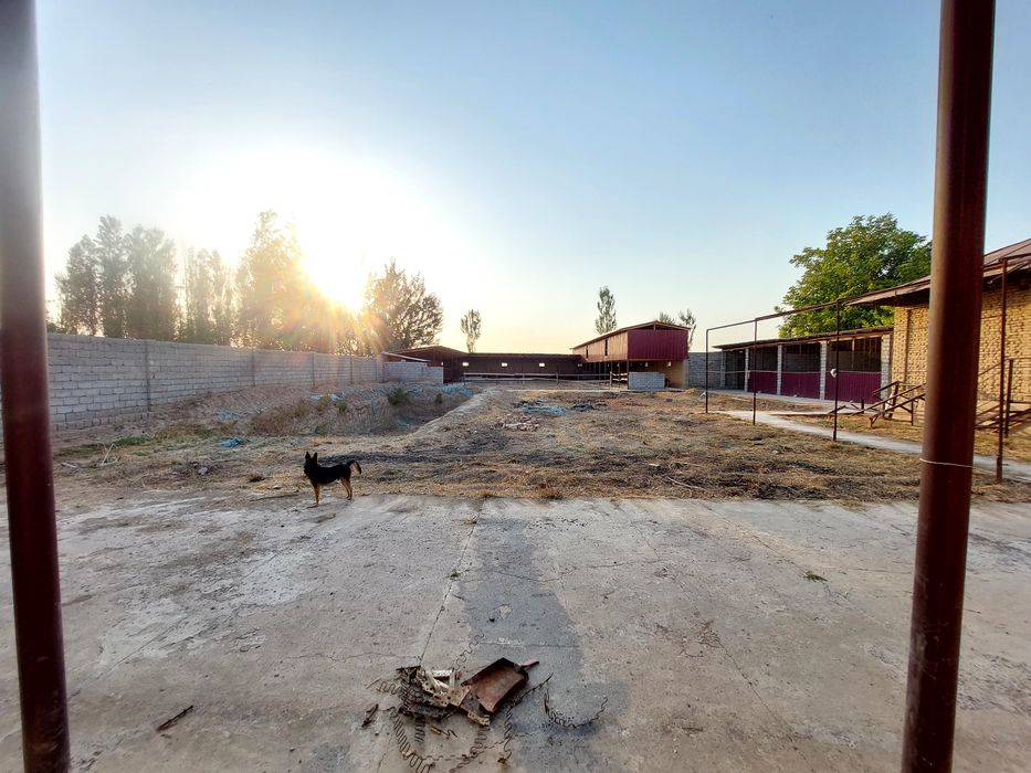 Современная ферма с готовым домом (12 соток) и ферма (18 соток) делимы