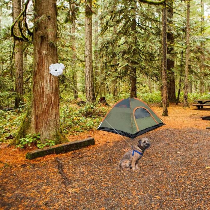 Каишка - повод за двор и градина малки и средни кучета