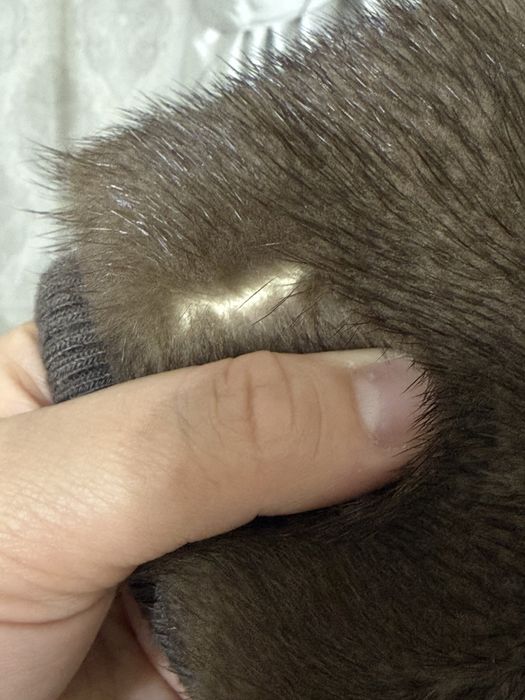 Срочно продам куртку