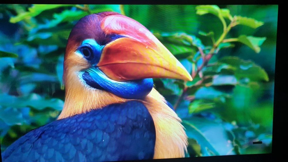 Samsung SMART Q90 55S webOS TV  .