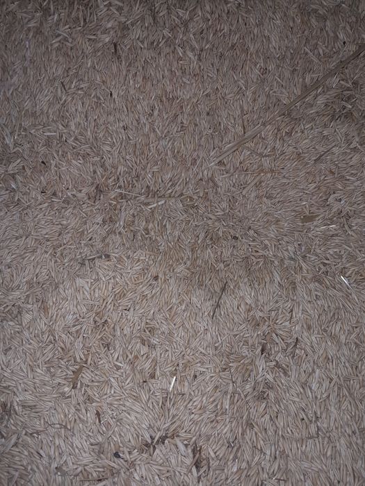 Vând porumb,varză,grâu,ovăz,cartofi,floarea soarelui