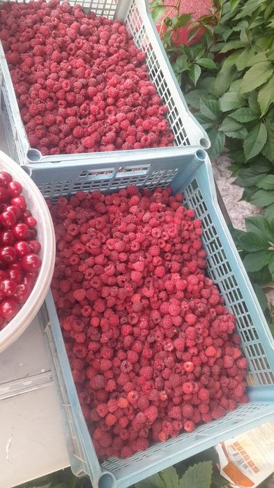 Продам дачу на спп в сторону Гагарина