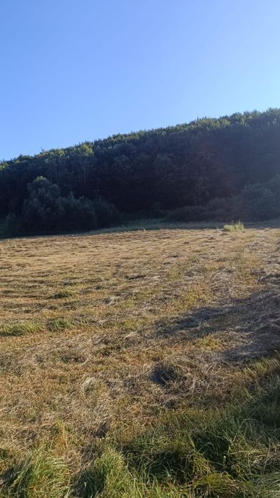 Teren Intravilan 1.200 mp în Feleacu