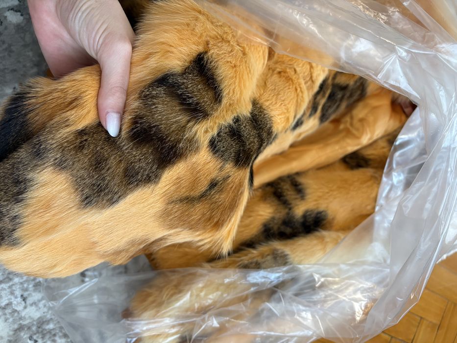 Haina de blana 100% naturala