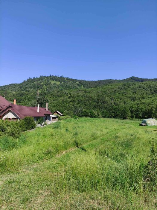 Teren de vanzare, intravilan, 1502 mp, Sat Straja Comuna Tarcau