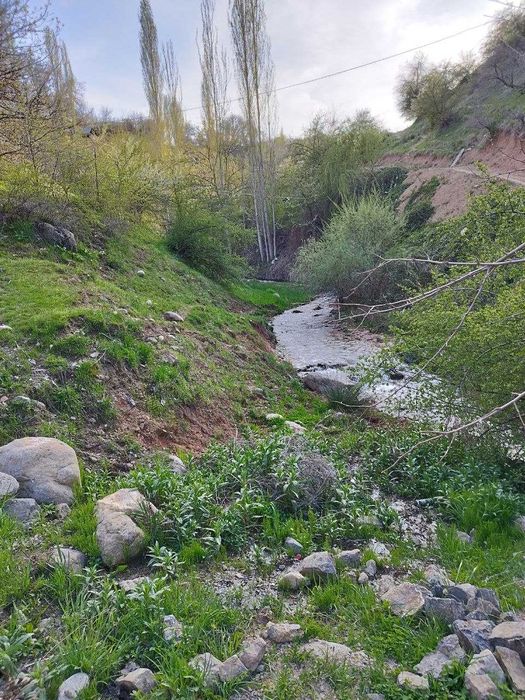 Продается дача 4 сот в горах Чинор