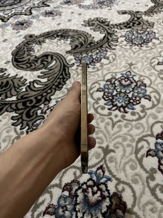 iphone 13 pro max 256. 79%