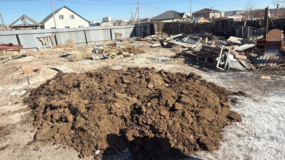 Самовывоз Бөкейханов 72