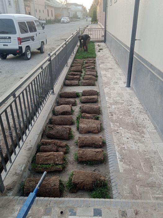 Gazon rulon tayor 60000 ming