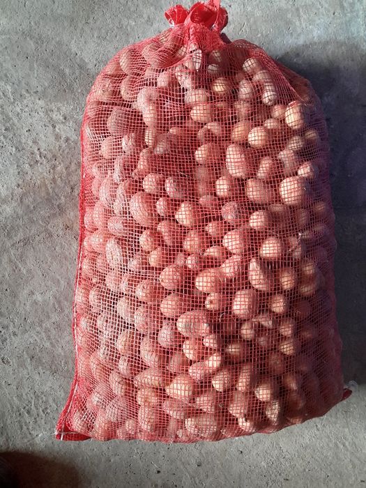 Cartofi pentru animale