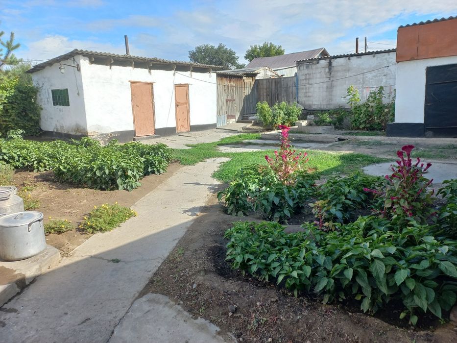 Дом. Два дома, два участка.